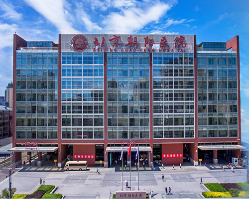 北京市朝陽（yáng）醫院