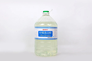 河南聖（shèng）騏淨19L洗潔精